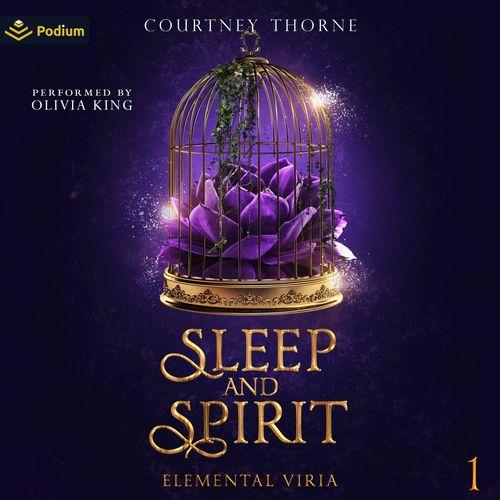 Sleep and Spirit